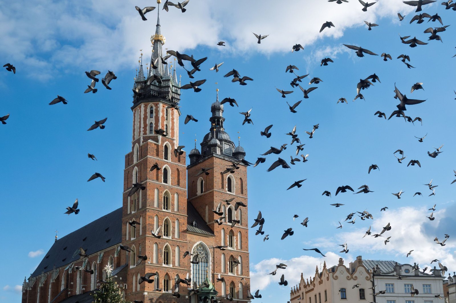 Stunning view of St. Mary's Basilica in Kraków with birds flying against a clear sky.
